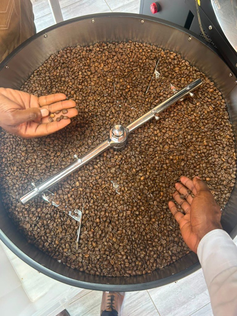 Coffee quality inspection during roasting and cooling
