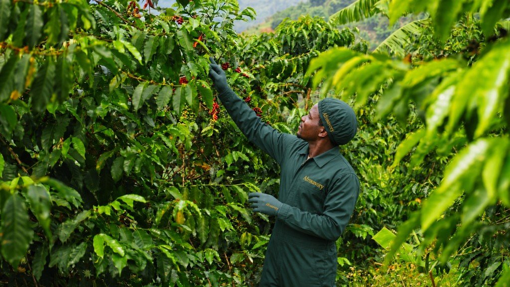 Harvest and farm-level selection